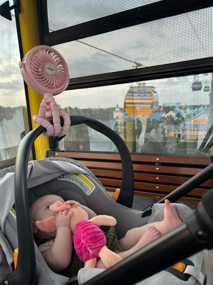 Baby with piglet stuffie on the skyliner