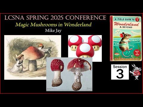 Spr 25 (03) Magic Mushrooms in Wonderland - Mike Jay (LCSNA)