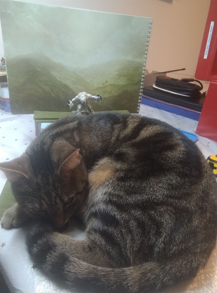 Cat helping miniature photography by lying in front of the subject.