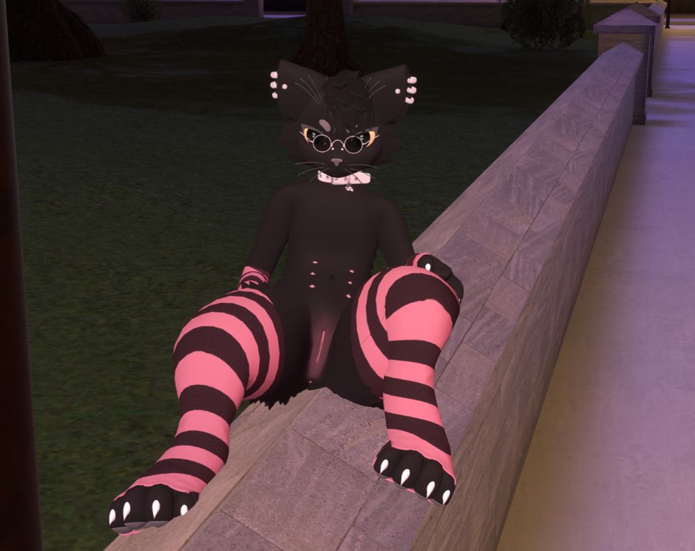 The kitty is now sitting on a solid brick fence around the park. It's wearing the pink thigh highs and arm warmers, while also presenting to the camera