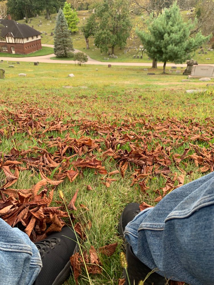 sitting in the cemetery on the grass
