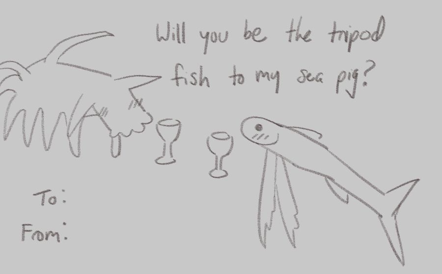 The pass the yaoi meme poorly drawn with the text "will you be the tripod fish to my sea pig?"