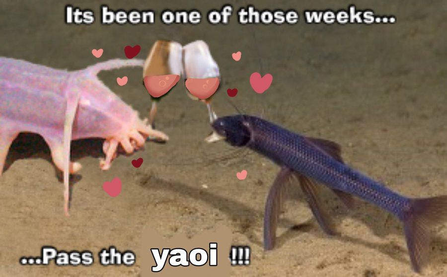 The pass the yaoi fish clink glasses of rosé with hearts above their head for the miracle of yaointines.
