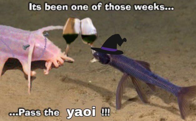 pass the yaoi fish but one is frankenstein and the other has a witch hat