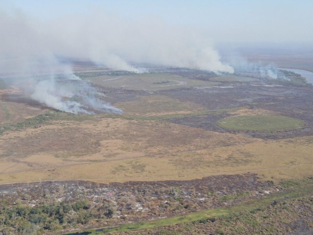 Ibama responsabiliza advogado por incêndio destrutivo no Pantanal | Notícias de Campo Grande e MS - Capital News