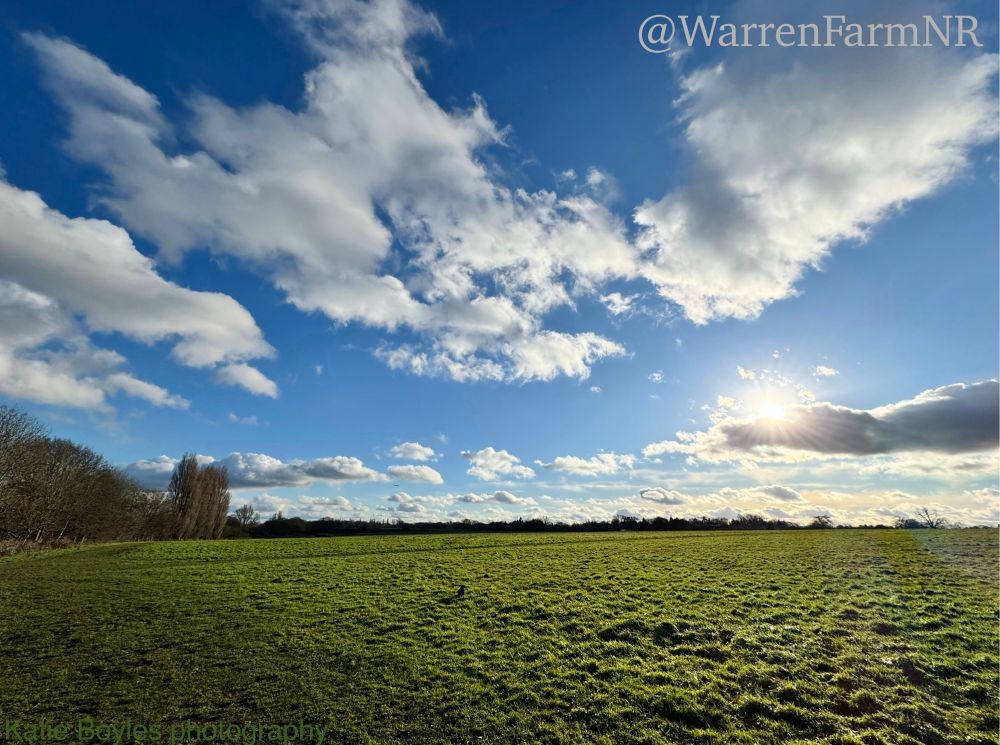 Our large cut meadow surrounded by trees with bare winter branches underneath a stunning white cloud scape. Blue sky and sun rest on a grey cloud. WarrenFarmNR