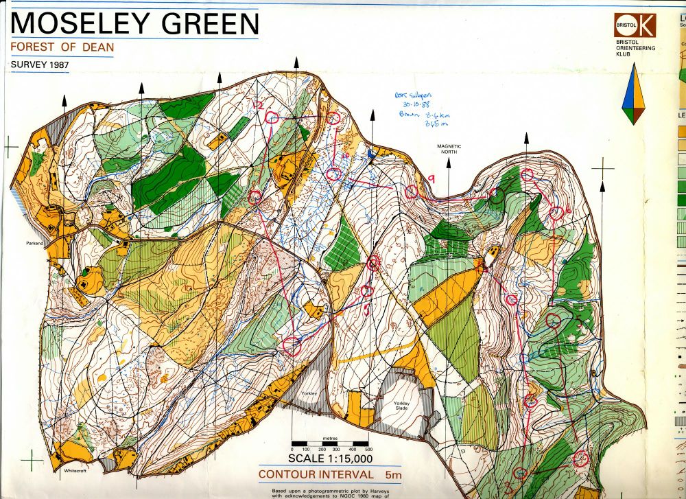 1 to 15000 five colour orienteering map of a mainly runnable forest.