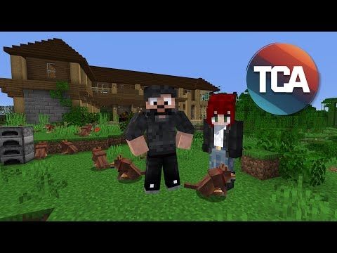 Housing these horses! | The Calamityville Alliance Episode 3