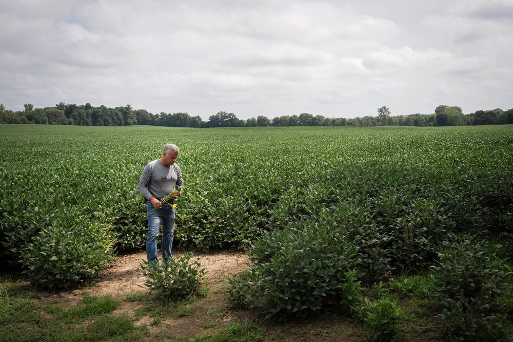 Fossil Fuel Interests Are Working To Kill Solar in One Ohio County. The Hometown Newspaper Is Helping - Inside Climate News