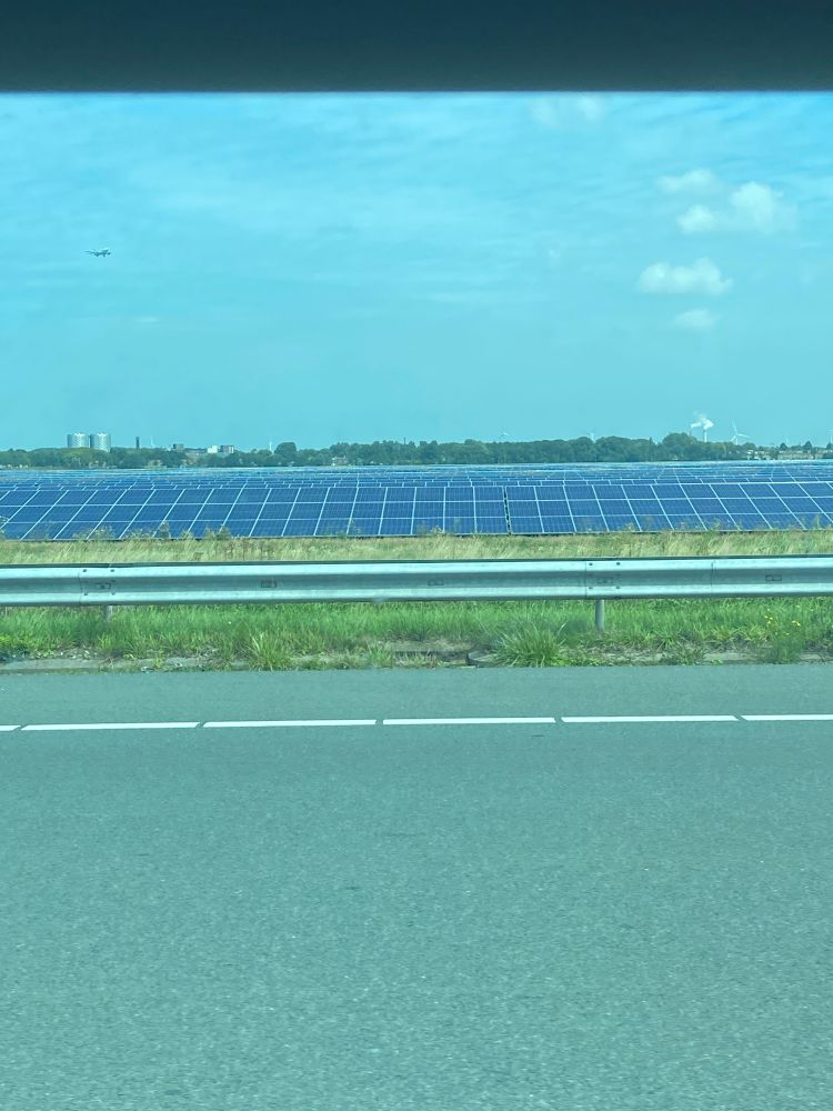 Foto zeigt ein großes Solaranlagenfeld neben einer Autobahn