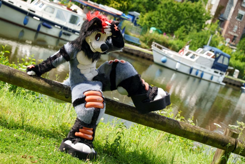 PunchingPoint fursuit strikes a pose