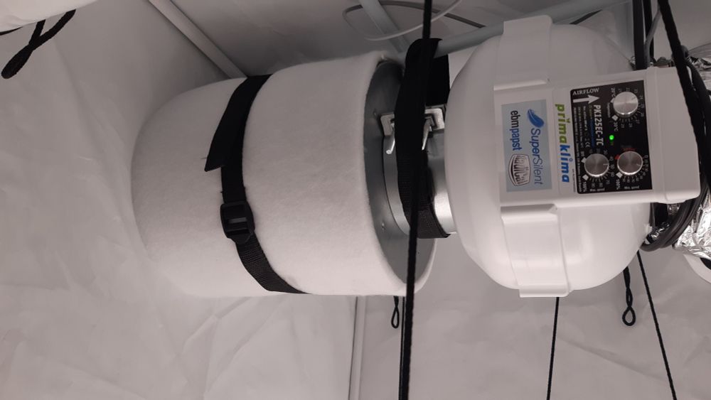 Uusi PrimaKlima-aktiivihiilisuodatin asennettuna teltan kattoon kanavapuhaltimen jatkoksi