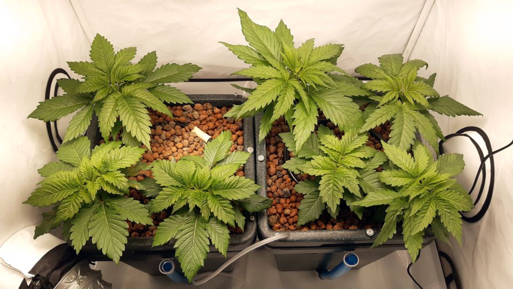 Farmeja käännetty 90 astetta vastapäivään.