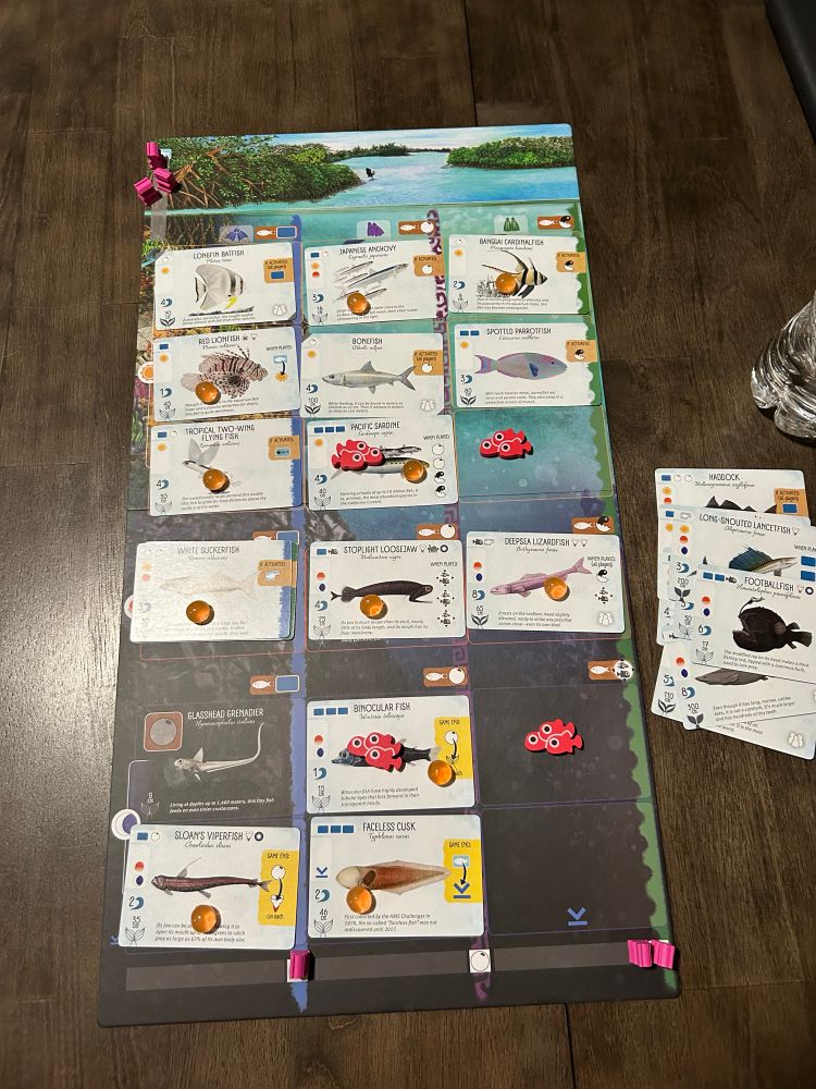 Final board state if Finspan showing 14 played fish cards, with upgraded components with wooden fish tokens and orange squishy eggs.