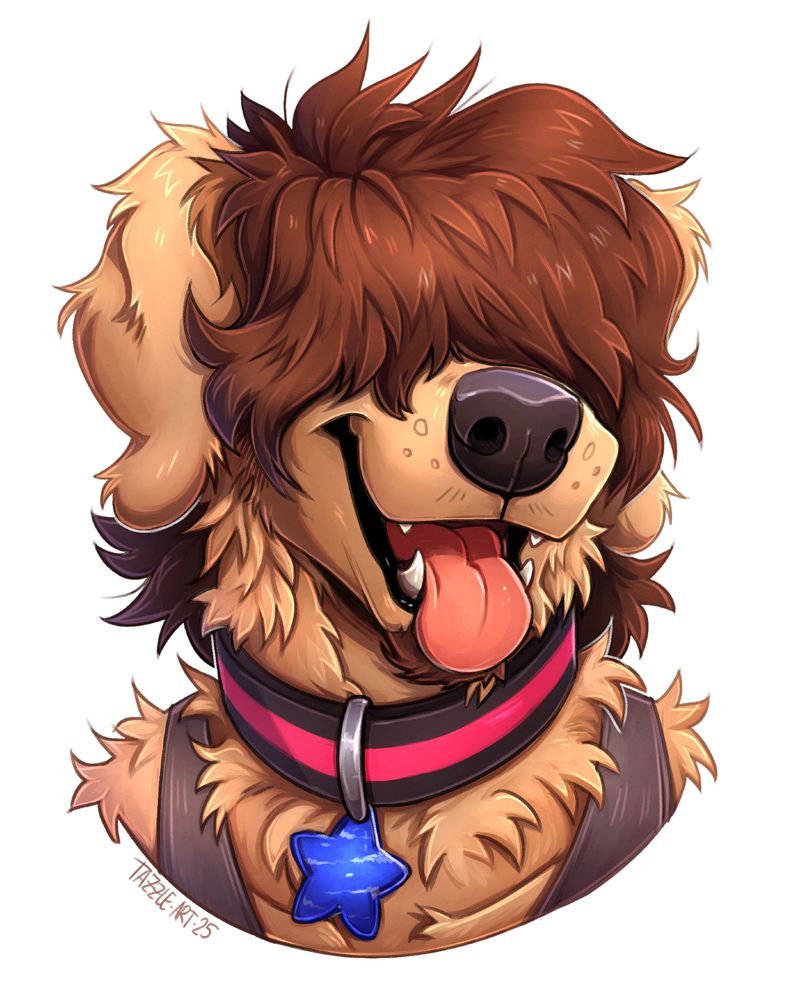 a big boofy golden retriever with brown fluffy hair covering his eyes. he is wearing a collar with a pink stripe and a blue star-shaped tag
