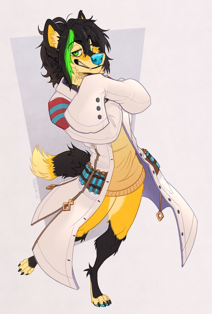 a female anthro wolf named Alluka, with yellow and black fur- cosplaying as Agnes Tachyon from Umamusume!