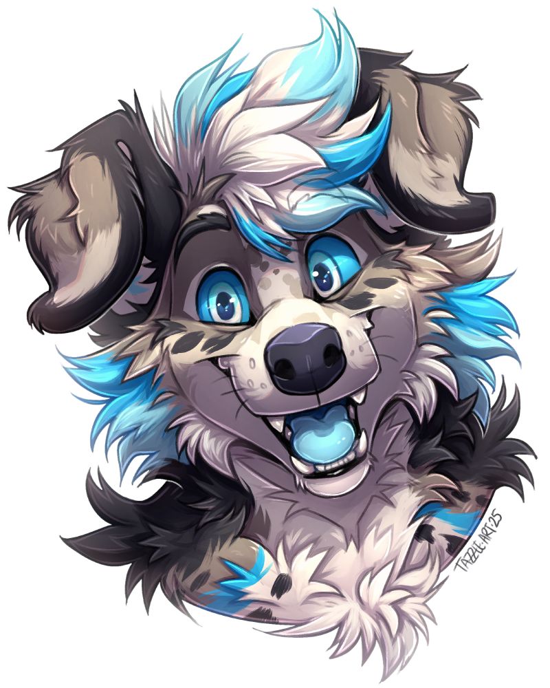 a happy collie dog with mottled grey and white fur, with splashes of blue on his cheeks and hair