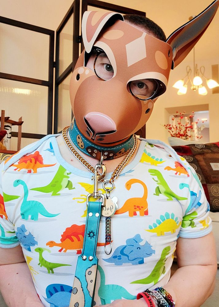 Me kneeling on the floor, paws held up in a begging position. I'm wearing my custom German Shepherd pup hood, my custom leather collar, and a colorful onesie with a dinosaur print. The collar is blue and tan, adorned with a cookie print.