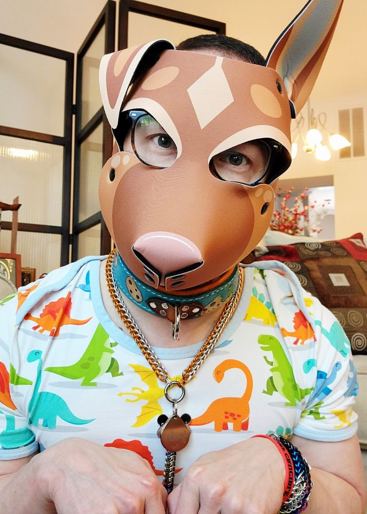 Me kneeling on the floor, paws held up in a begging position. I'm wearing my custom German Shepherd pup hood, my custom leather collar, and a colorful onesie with a dinosaur print. The collar is blue and tan, adorned with a cookie print.
