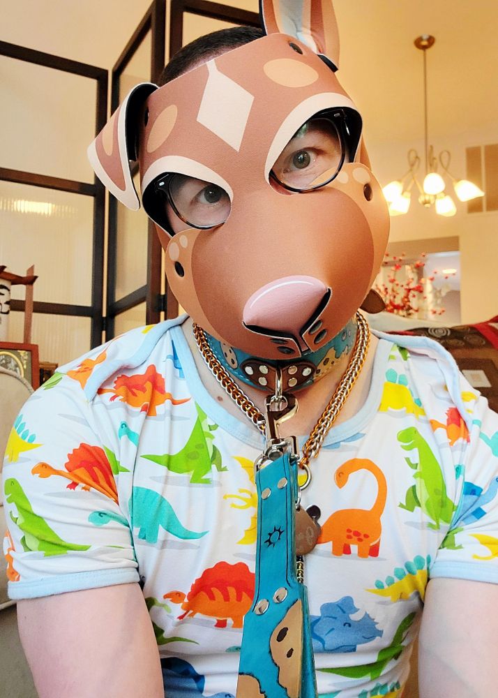 Me kneeling on the floor, paws held up in a begging position. I'm wearing my custom German Shepherd pup hood, my custom leather collar, and a colorful onesie with a dinosaur print. The collar is blue and tan, adorned with a cookie print.
