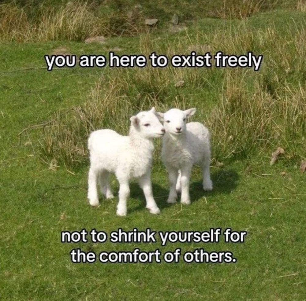 Two small white lambs in green grass “you are here to exist freely, not to shrink yourself for the comfort of others” 