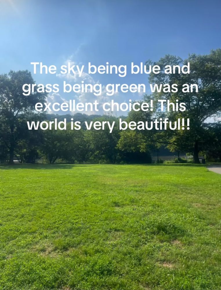 A photo of a green lawn with surrounding trees and a mostly cloudless blue sky with white text, “the sky being blue and grass being green was an excellent choice! This world is very beautiful!!”