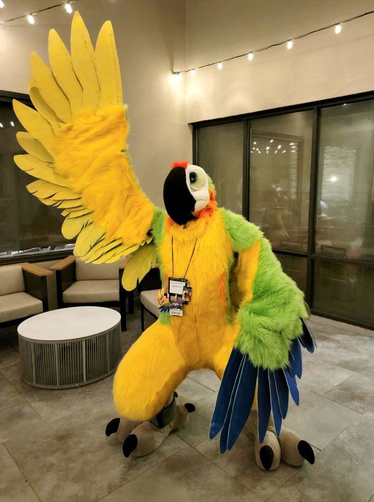 Carl Lee the macaw fursuit with his right wing raised towards the sky and his left wing relaxed at his side, looking slightly up while standing in a hotel courtyard at night. String lights provide a warm glow to the area.
