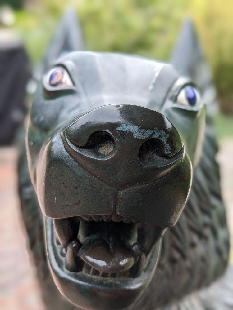 A close up of a wolf statue done in a classic style, made extra derpy by the photo being taken very close to the wolf's nose. The wolf looks wall-eyed and very goofy.