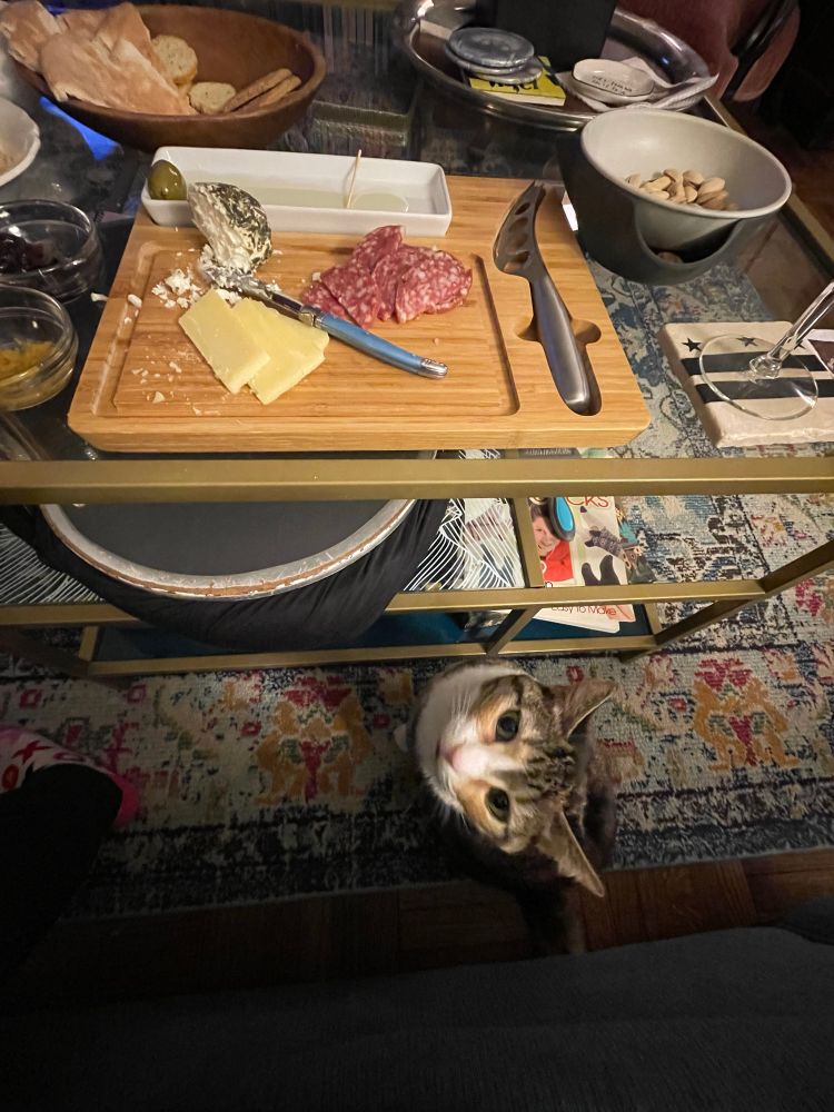 Photo of a half-eaten charcuterie spread on a coffee table, seen from above. Next to the coffee table, a cat is seen staring plaintively up at the camera. She wants the food.