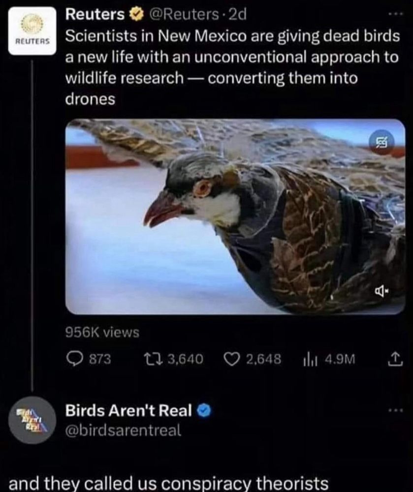 Scientists in New Mexico are converting dead birds into drones…for research.