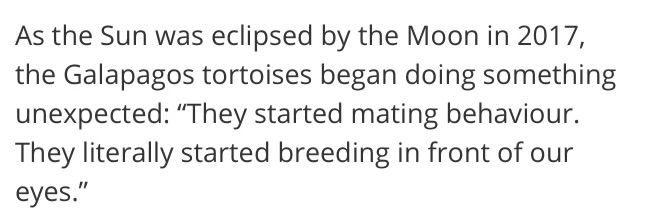 Screenshot of text that reads: As the Sun was eclipsed by the Moon in 2017, the Galapagos tortoises began doing something unexpected: "They started mating behaviour.
They literally started breeding in front of our eyes."