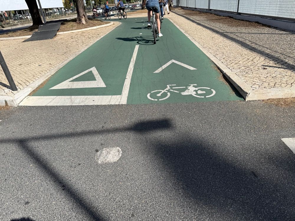 Two green bike lanes, the one on the left, indicating not to go that way, one one the right has a bicycle indicating that’s the correct direction to ride