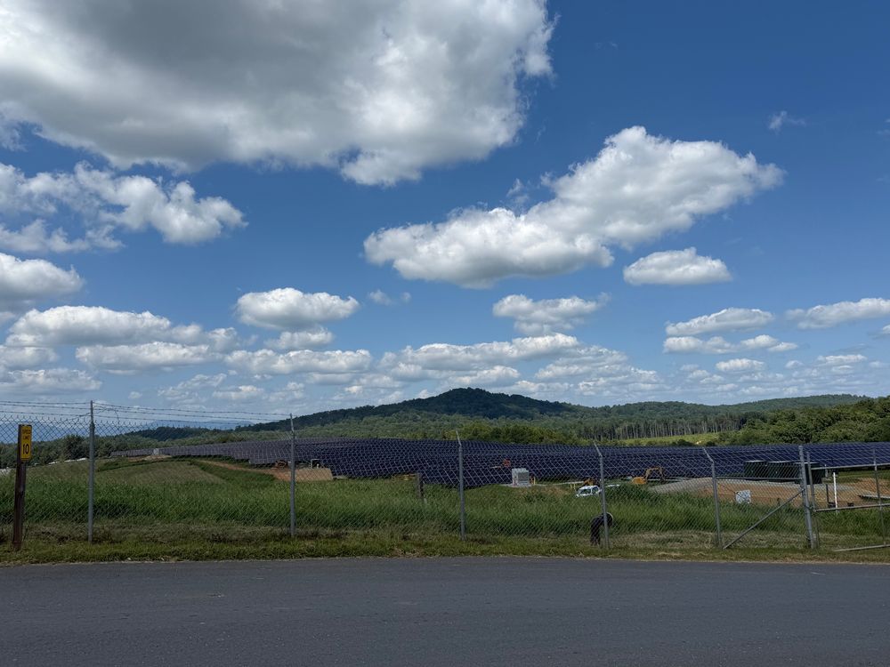 Lots of solar panels in a field with a blue sky with white clouds and a mountain