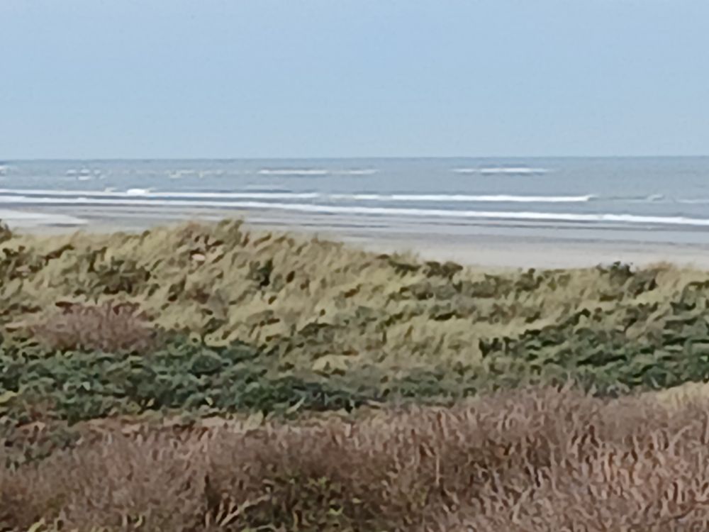 Duinen op de voorgrond en de zee op de achtergrond