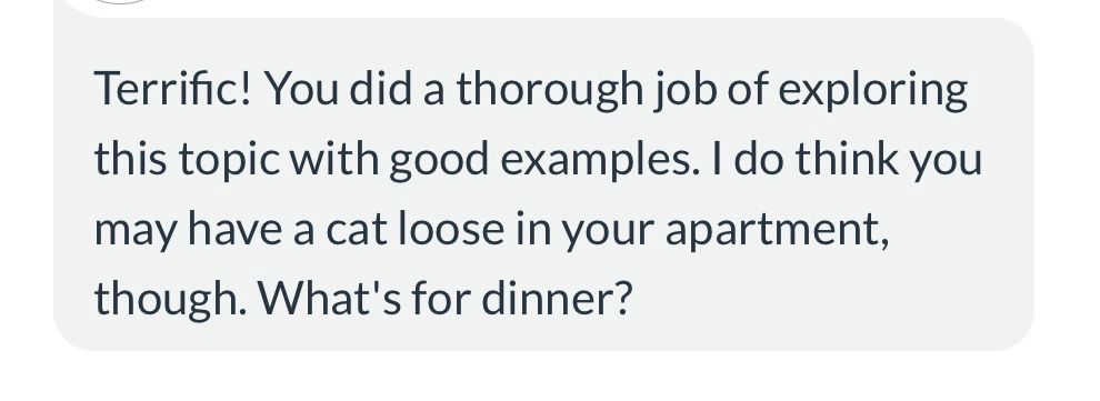 my teacher replying to my project,”Terrific! You did a thorough job exploring this topic with good examples. I do think you may have a cat loose in your apartment, though. What’s for dinner?”