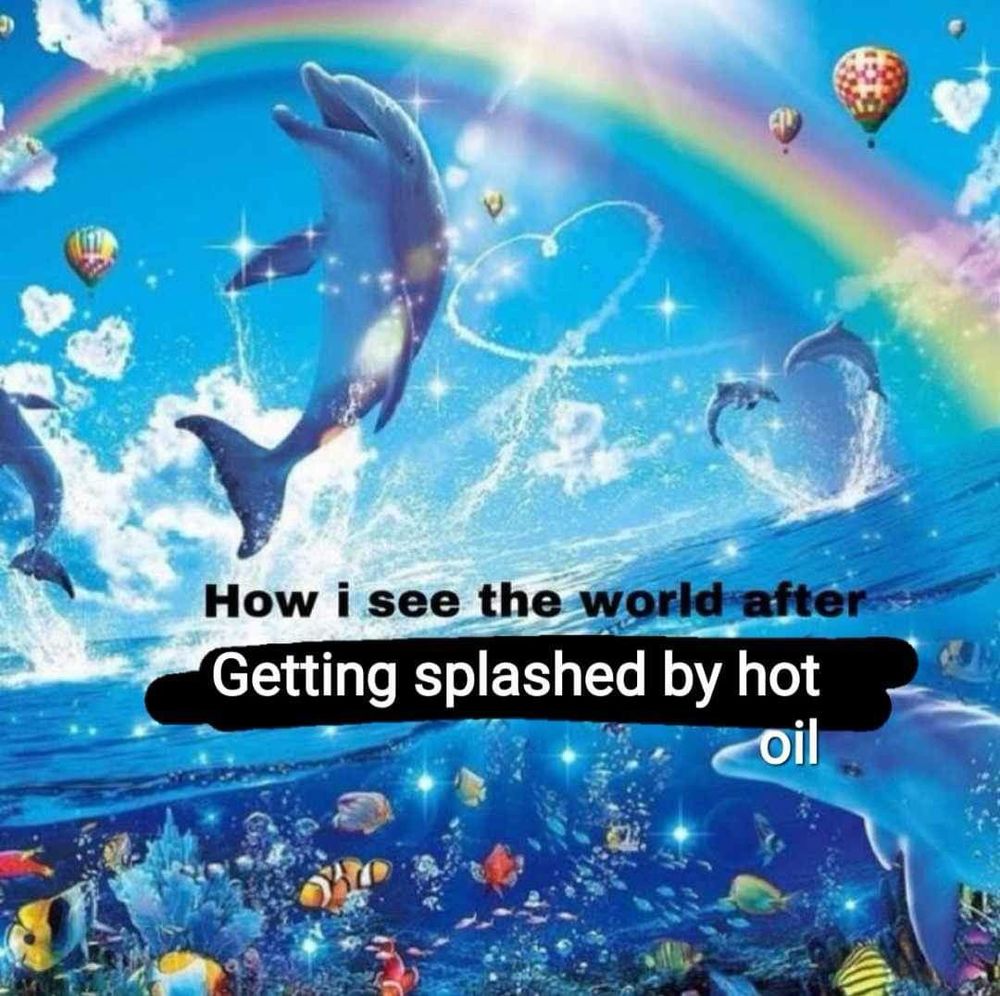 An overly dreamy graphic of rainbows and a leaping dolphin and colorful fish on a sunny sea with the text of “How I see the world after getting splashes by hot oil” on it