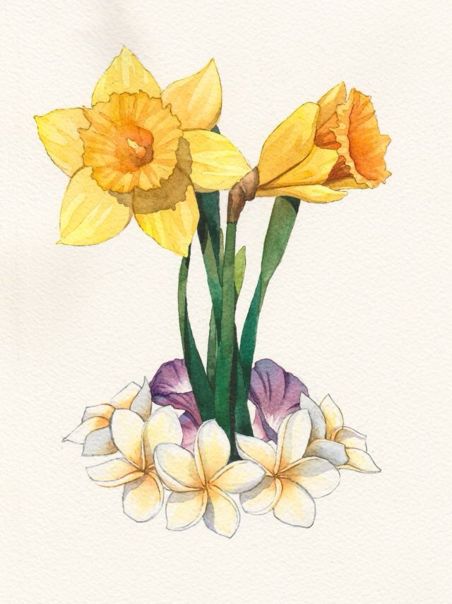 A simple but pretty watercolor painting of two yellow daffodils rising from a ring of small white and yellow flowers, with some purple flowers hidden behind them. 
