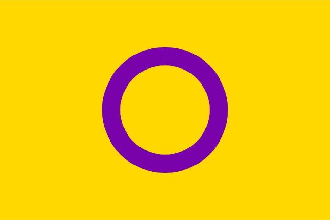 The intersex flag