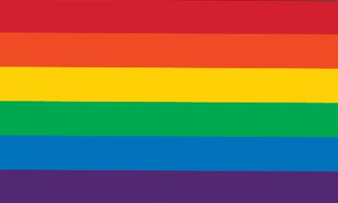 The standard rainbow flag