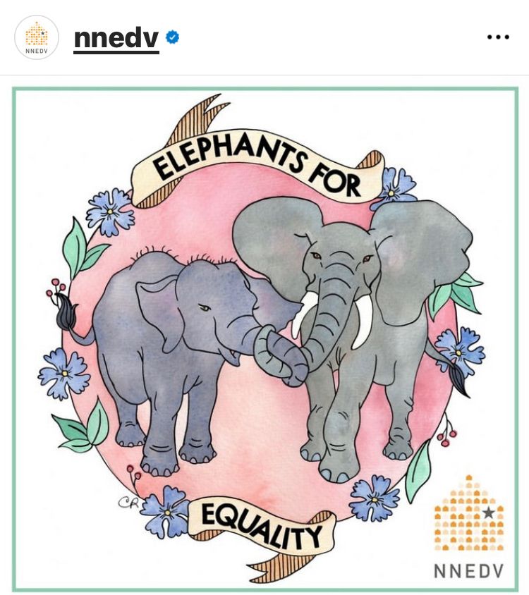 Elephants for Equality