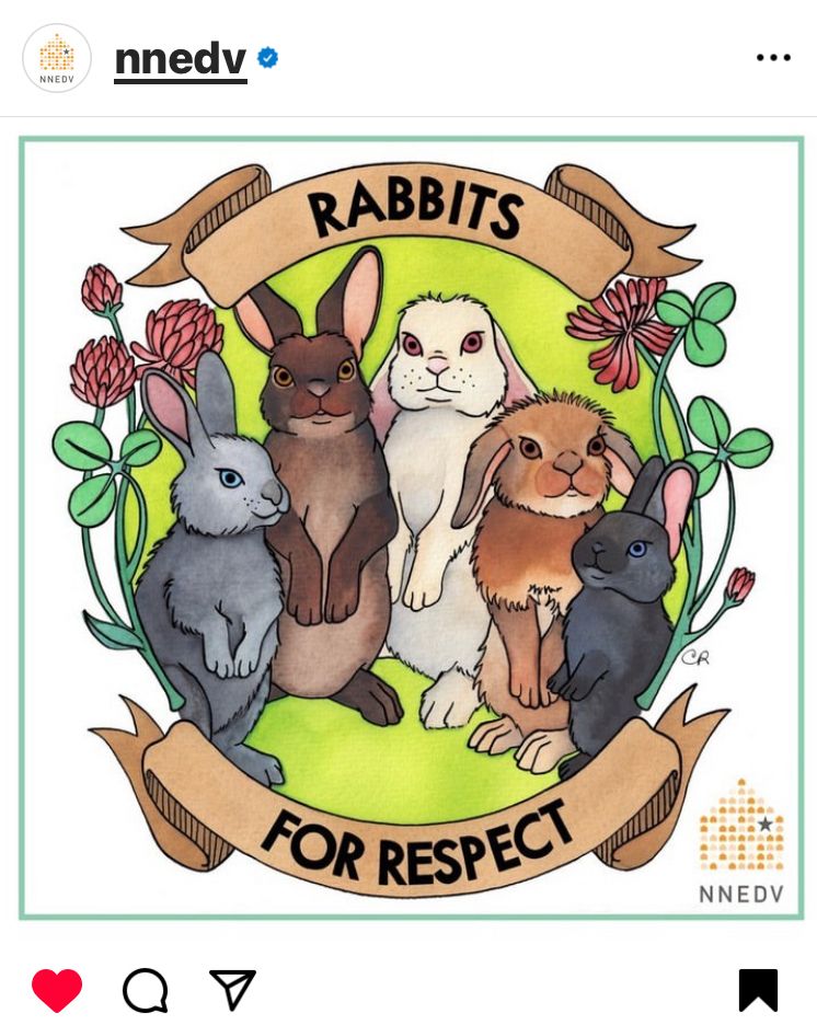 Rabbits for Respect