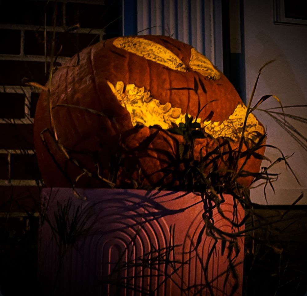 A half-deflated jack-o-lantern looks up at the sky mournfully, a few dead twigs surrounding it at the base.