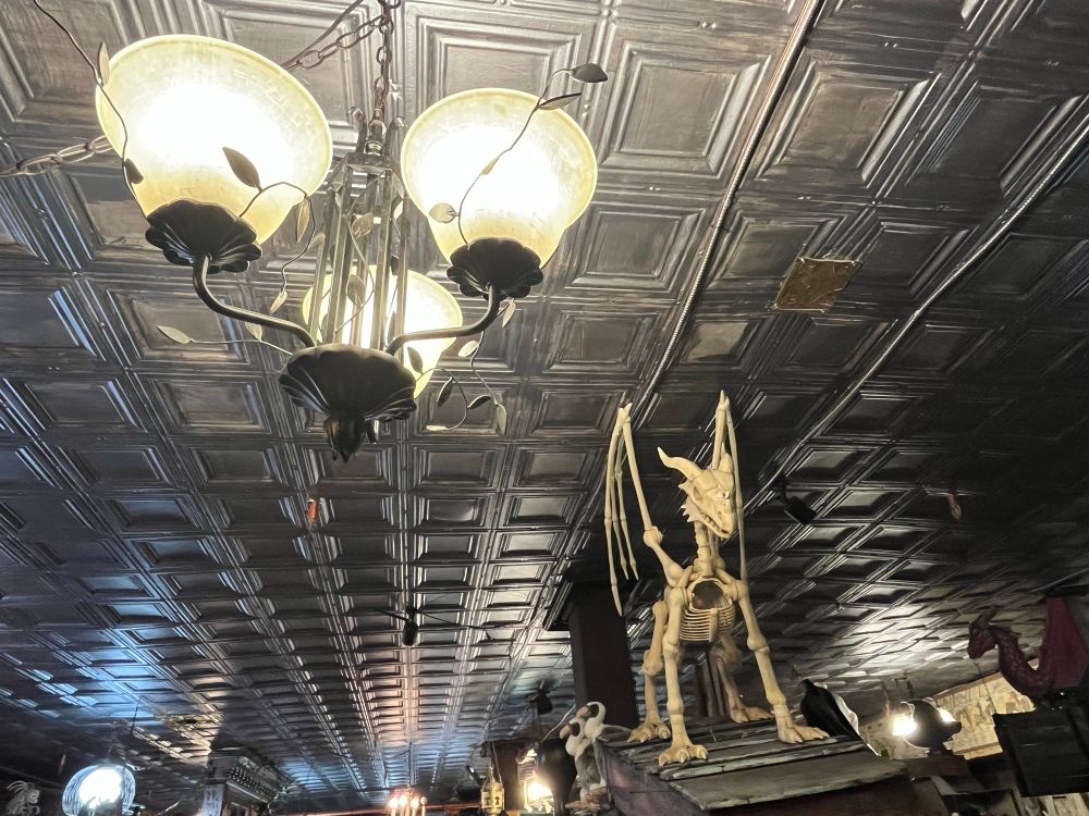 Store interior showing lighting and a dragon skeleton.