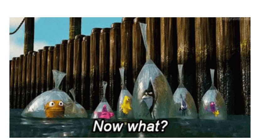 “now what”  fish from Finding Nemo in bags