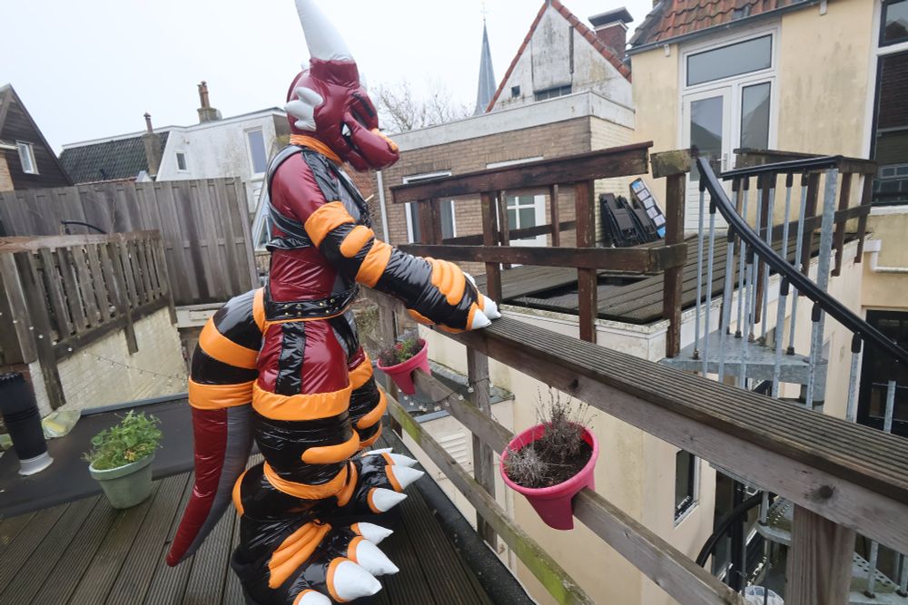 Squeak peering over a balcony 