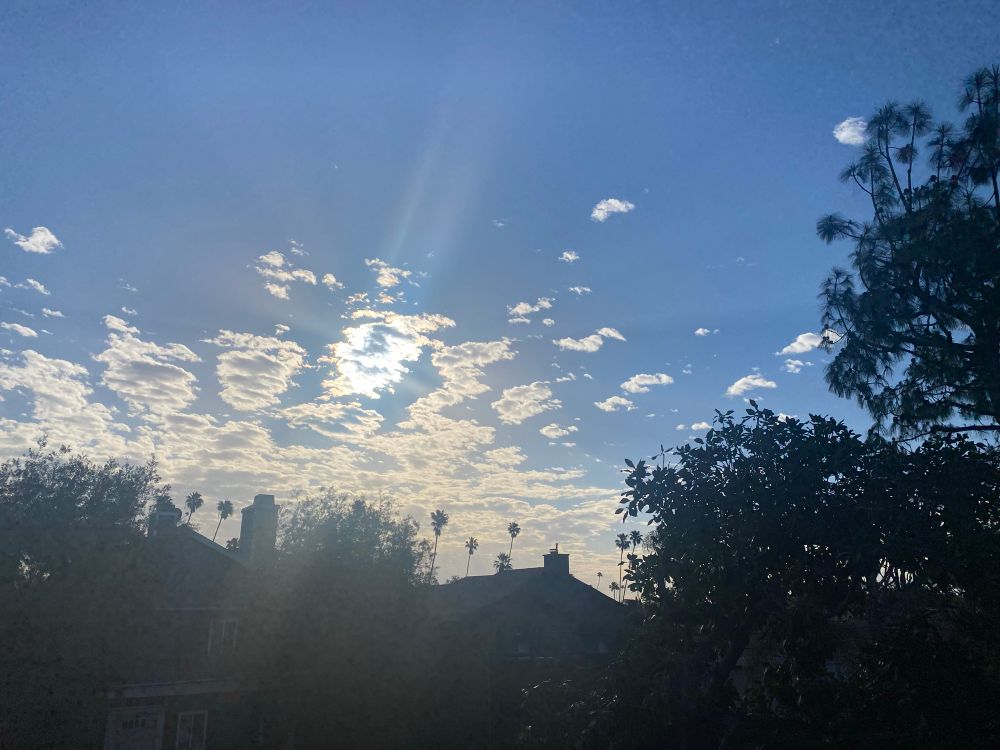 Looking out at morning sun rays streaming through patches of clouds and blue sky, above rooftops and palm trees, and big evergreens and magnolias.