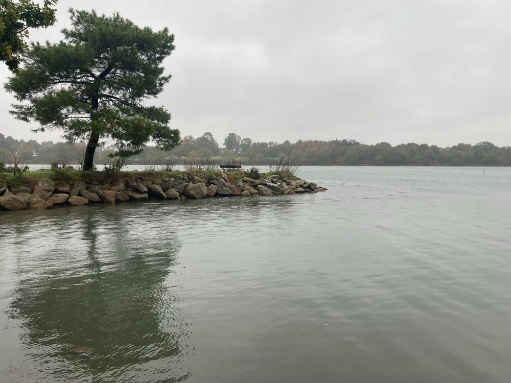 La mer, une avancée en pierre, un arbre et un banc… plus loin, sur l’autre rive des arbres… c’est l’entrée du port de Vannes…