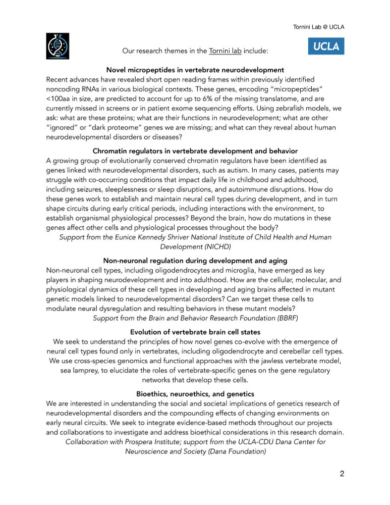 Novel micropeptides in vertebrate neurodevelopment
 Using zebrafish models, we
ask: what are these proteins; what are their functions in neurodevelopment; what are other
“ignored” or “dark proteome” genes we are missing; and what can they reveal about human
neurodevelopmental disorders or diseases?
Chromatin regulators in vertebrate development and behavior
A growing group of evolutionarily conserved chromatin regulators have been identified as
genes linked with neurodevelopmental disorders, such as autism. In many cases, patients may
struggle with co-occurring conditions that impact daily life in childhood and adulthood,
including seizures, sleeplessness or sleep disruptions, and autoimmune disruptions. How do
these genes work to establish and maintain neural cell types during development, and in turn
shape circuits during early critical periods, including interactions with the environment, to
establish organismal physiological processes? 

Non-neuronal regulation during development and aging
Non-neuronal cell types, including oligodendrocytes and microglia, have emerged as key
players in shaping neurodevelopment and into adulthood. How are the cellular, molecular, and
physiological dynamics of these cell types in developing and aging brains affected in mutant
genetic models linked to neurodevelopmental disorders? Can we target these cells to
modulate neural dysregulation and resulting behaviors in these mutant models?

Evolution of vertebrate brain cell states
We seek to understand the principles of how novel genes co-evolve with the emergence of
neural cell types found only in vertebrates.
We use cross-species genomics and functional approaches with the jawless vertebrate model,
sea lamprey, to elucidate the roles of vertebrate-specific genes on the gene regulatory
networks.
Bioethics, neuroethics, and genetics
We seek to integrate evidence-based methods throughout our projects to investigate and address bioethical considerations in this research domain.
