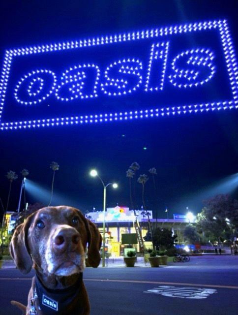 Bowie Venti at the Oasis drone show at the Rose Bowl