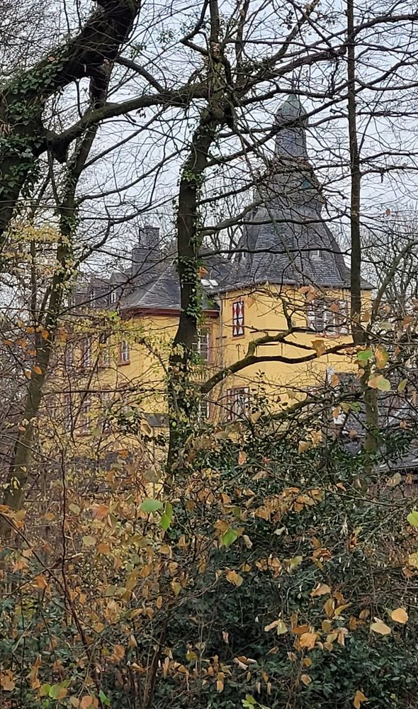 Durch herbstlich entlaubten Baumbestand, sieht man gelbes Burggebäude mit spitz zulaufenden Schieferdächern.